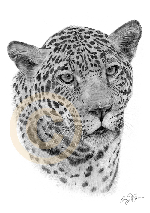 jaguar01